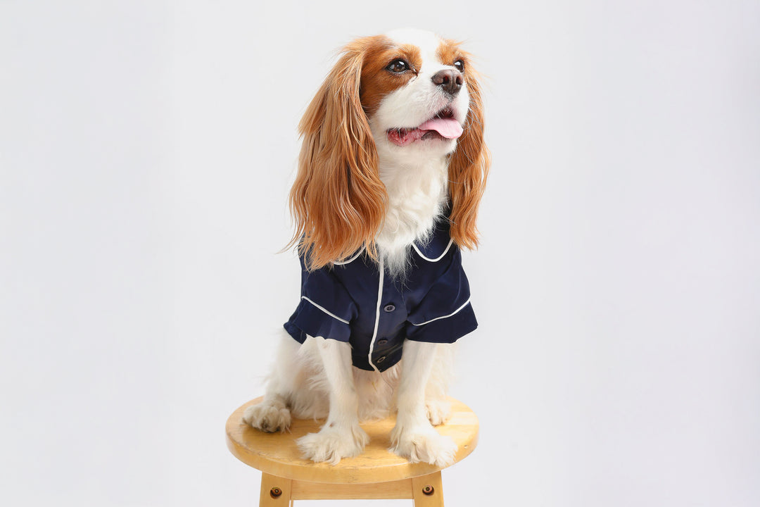 Blue Pet PJs
