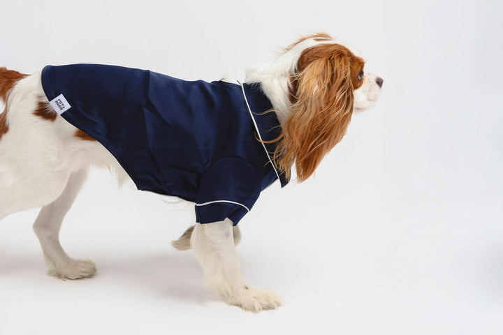 Blue Pet PJs