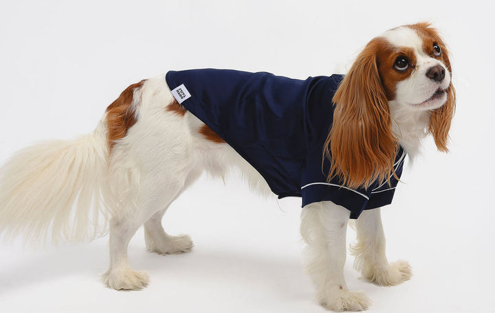 Blue Pet PJs