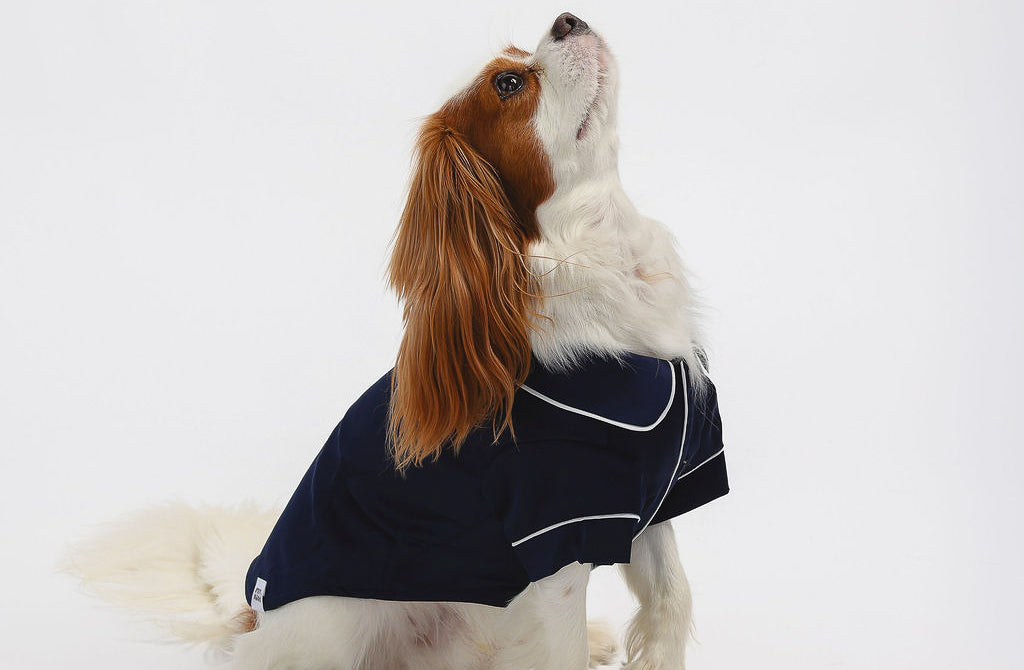 Blue Pet PJs