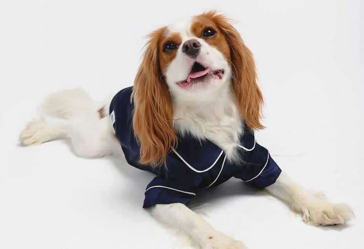 Blue Pet PJs
