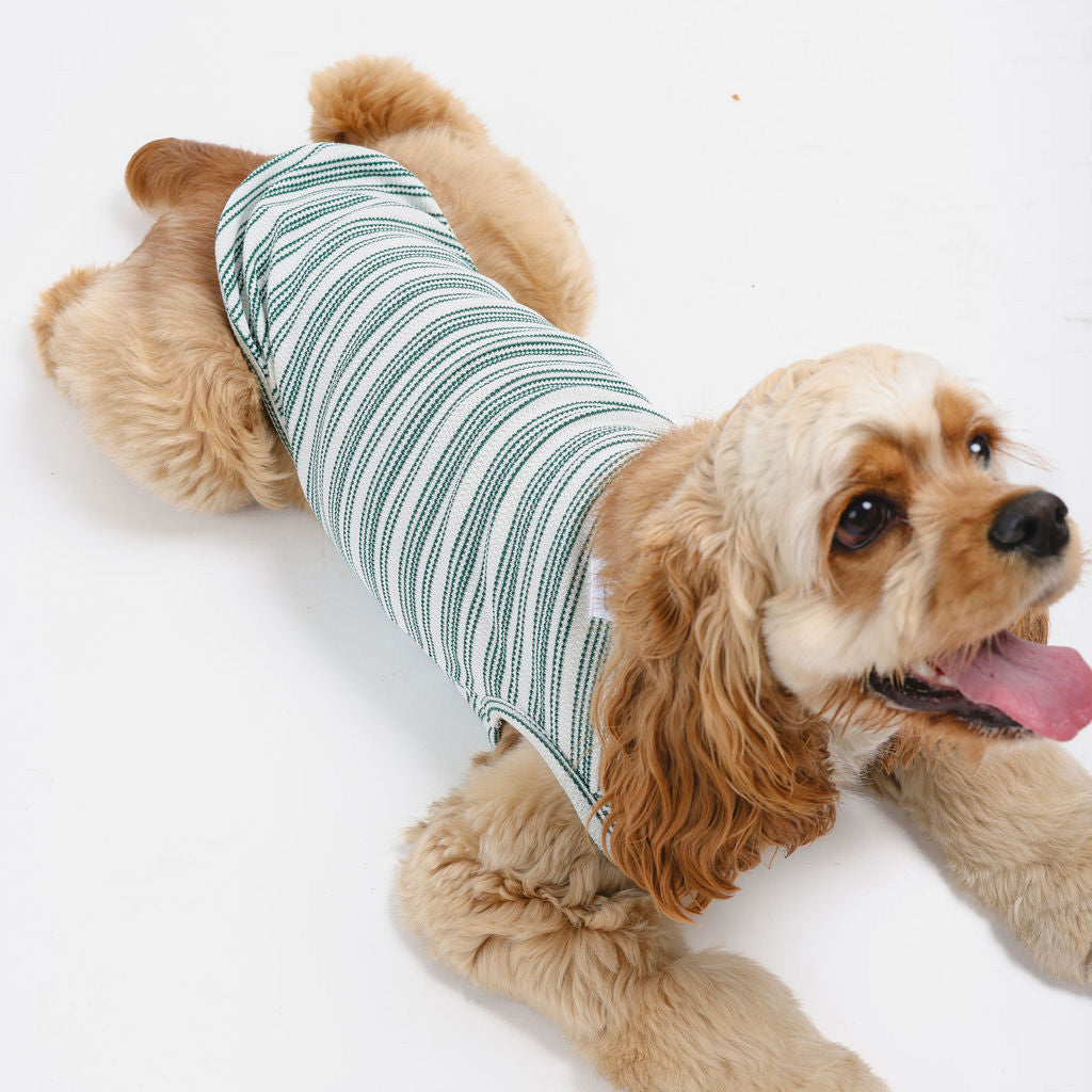 Candy Cane Sleeveless Sweater