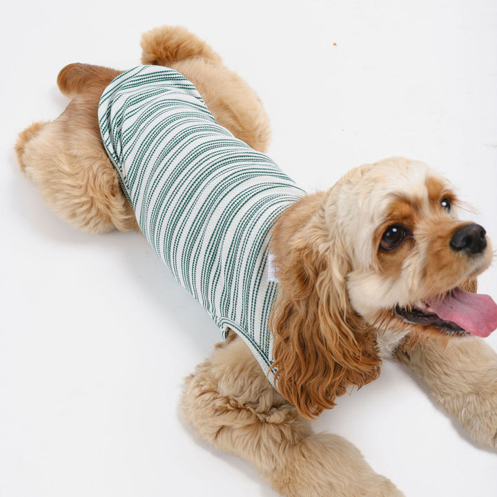 Candy Cane Sleeveless Sweater