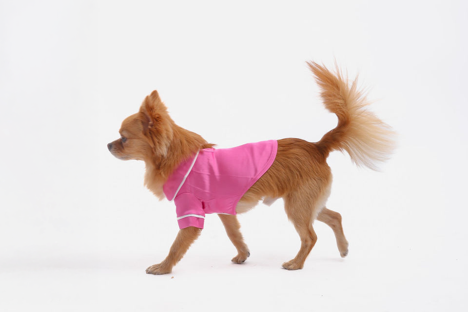 Pink Pet PJs