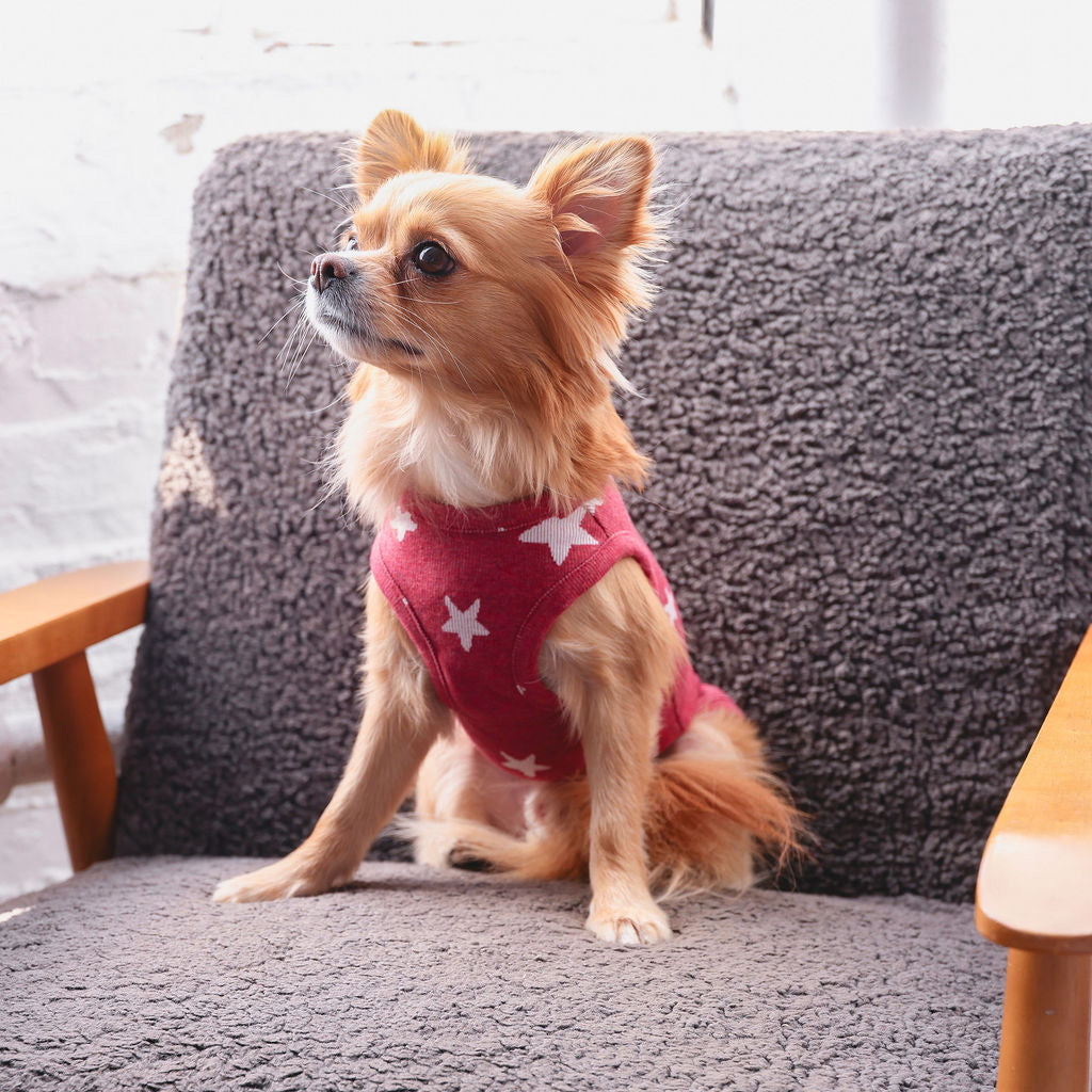 Starry Night Sleeveless Sweater