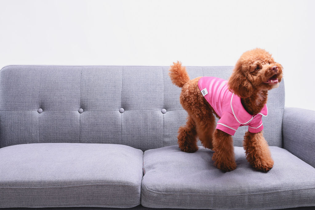 Pink Pet PJs