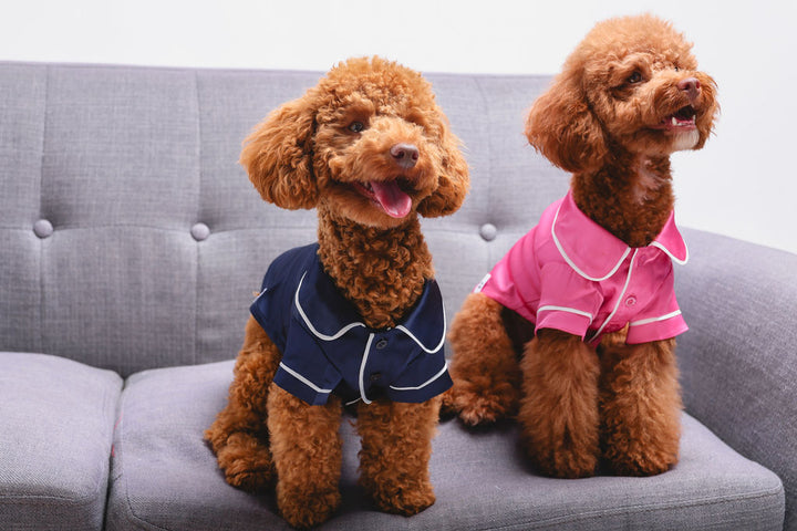 Pink Pet PJs
