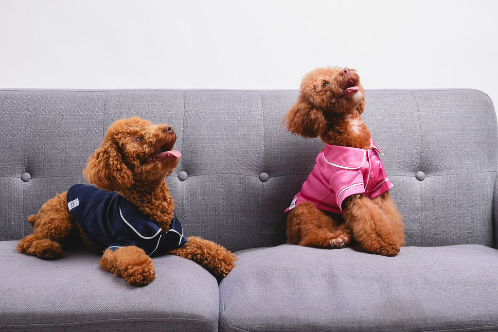 Blue Pet PJs