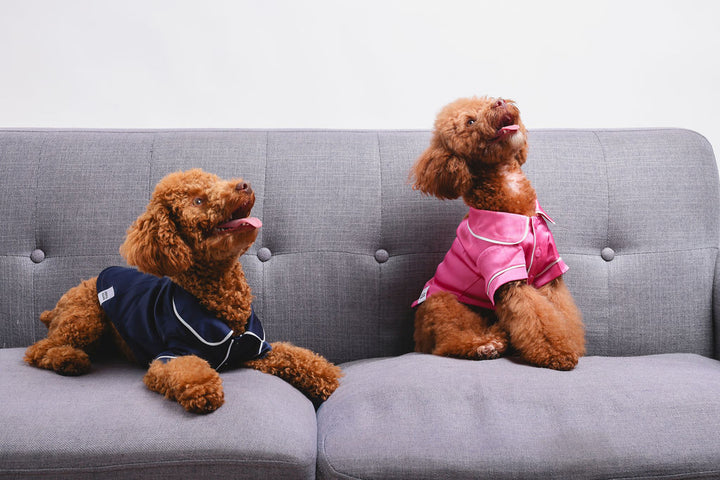 Blue Pet PJs