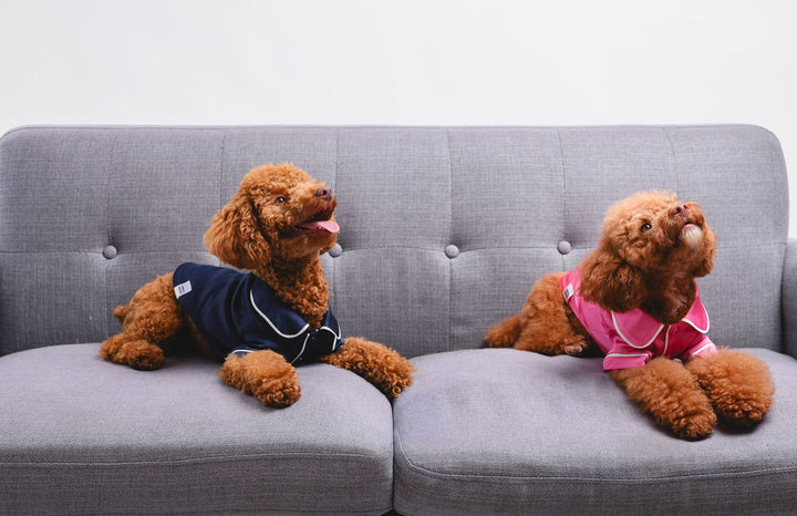 Pink Pet PJs