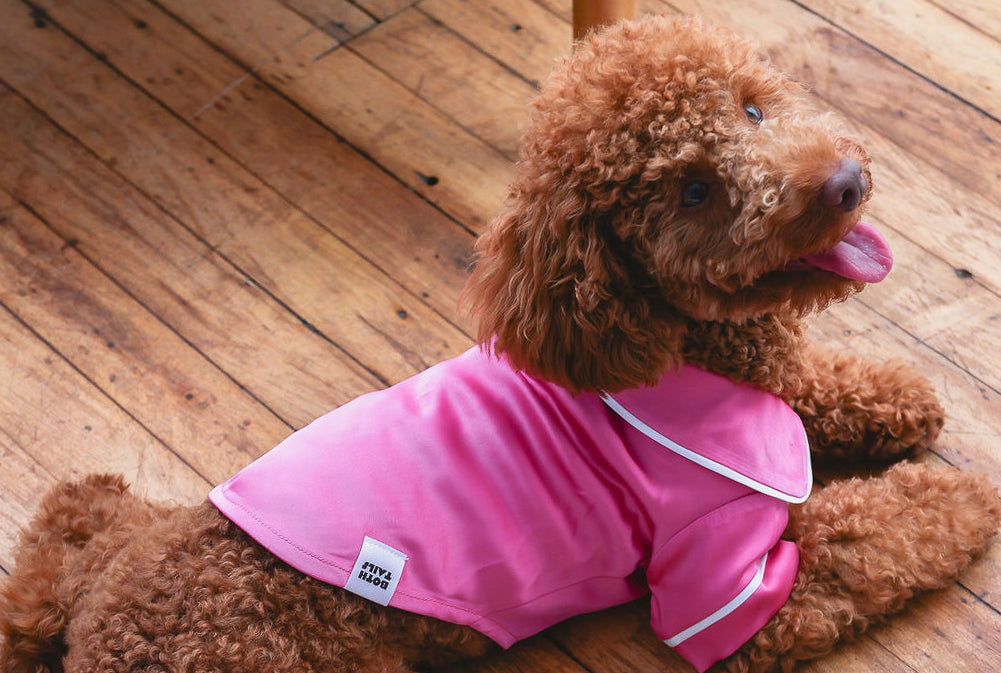 Pink Dog Pajamas | Satin Loungewear | Both Tails