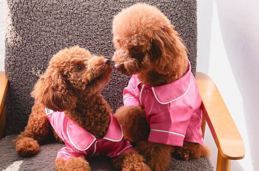 Pink Dog Pajamas | Satin Loungewear | Both Tails