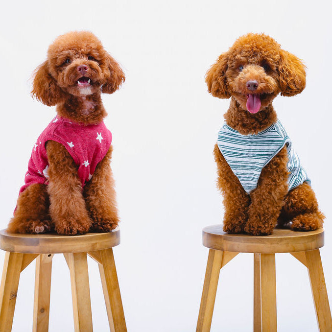 Candy Cane Sleeveless Sweater
