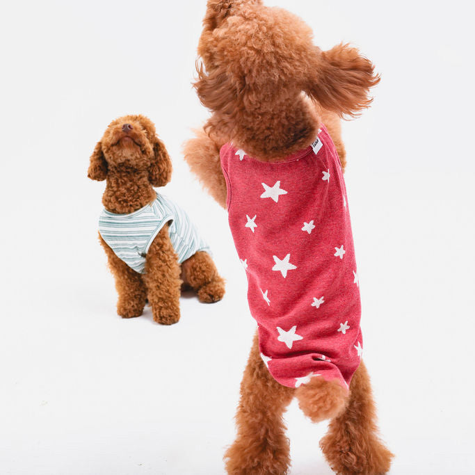 Starry Night Sleeveless Sweater