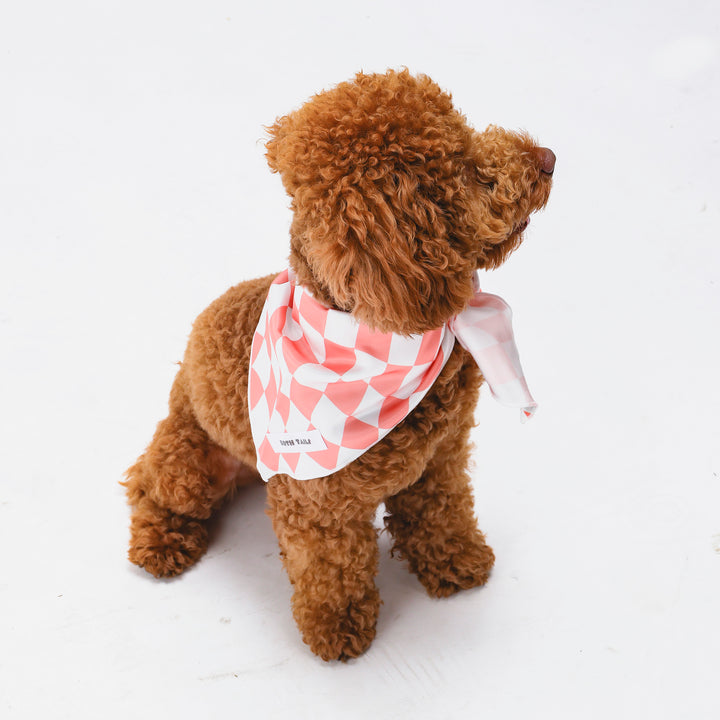 Peaches Dog Bandana