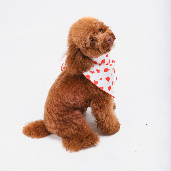 Cupid Dog Bandana