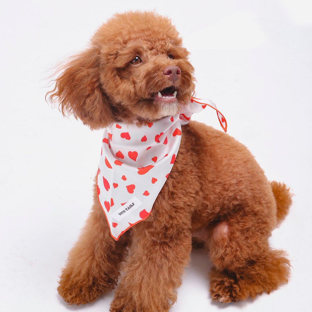 Cupid Dog Bandana