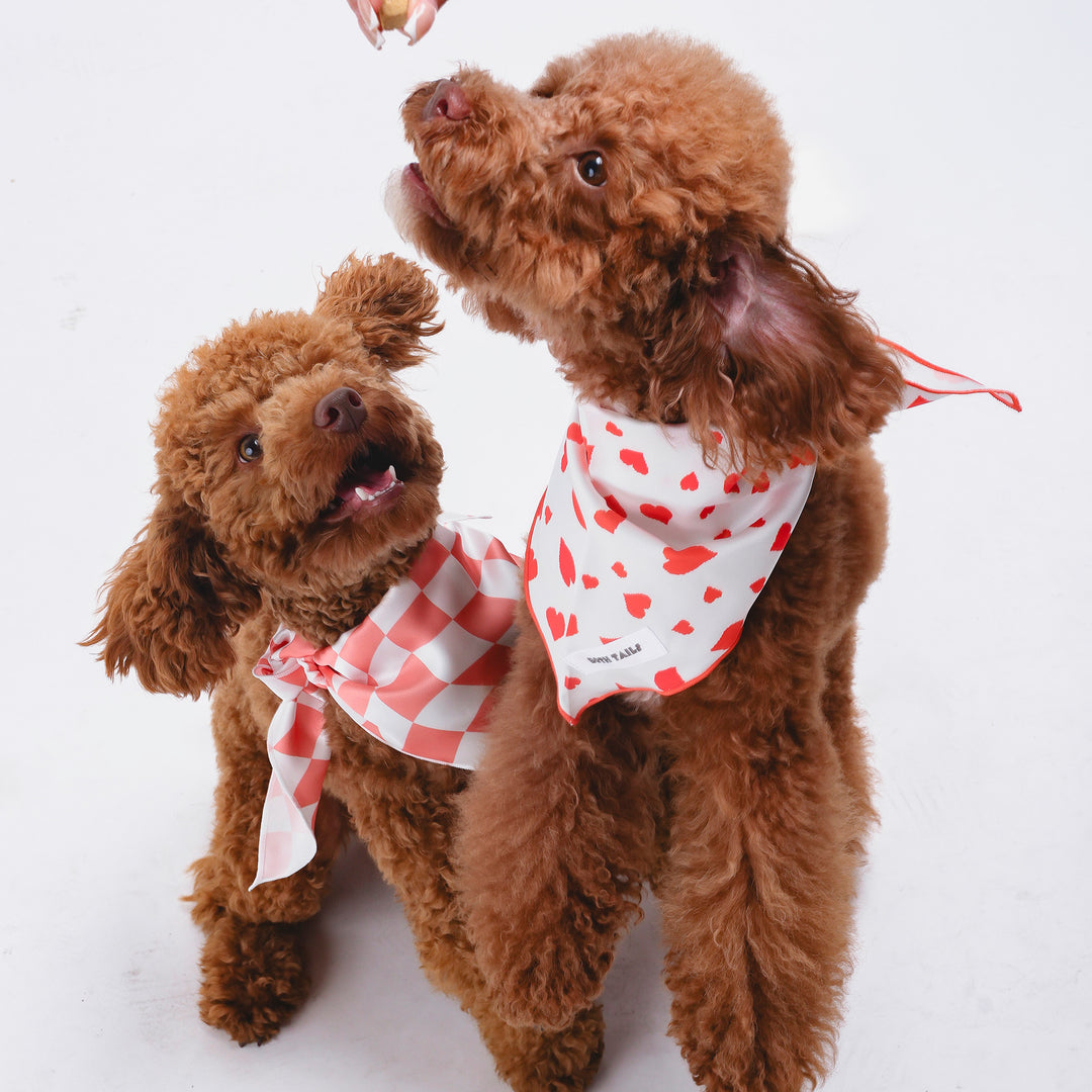 Peaches Dog Bandana