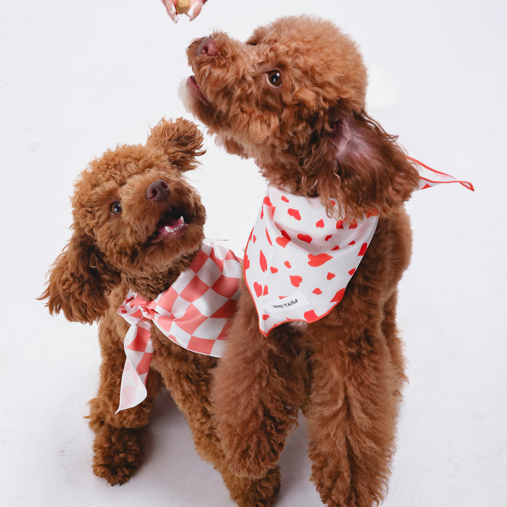 Peaches Dog Bandana