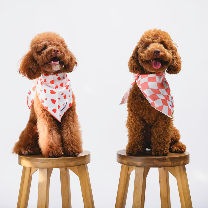 Peaches Dog Bandana