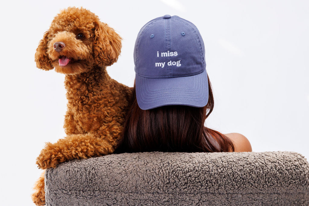 I Miss My Pet Hat