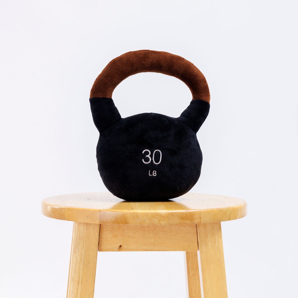 Cute dog with funny kettlebell toy