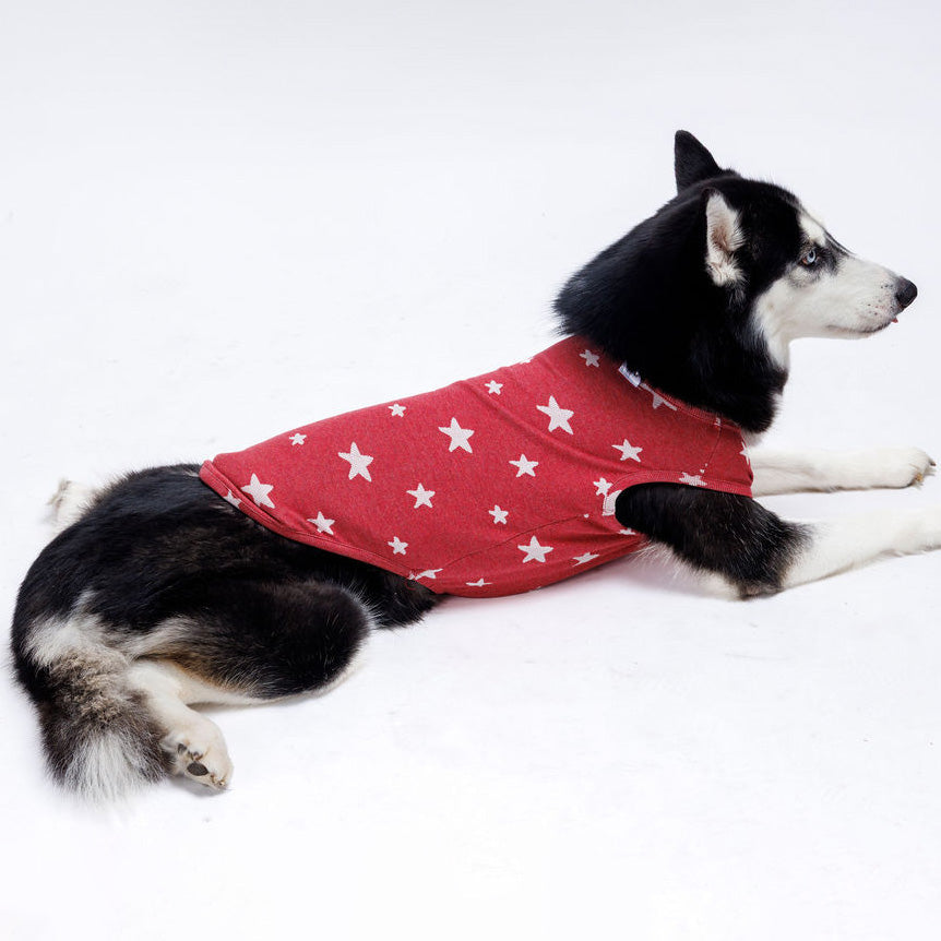 Starry Night Sleeveless Sweater