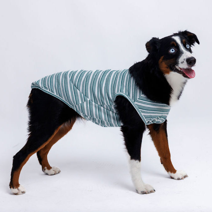 Candy Cane Sleeveless Sweater