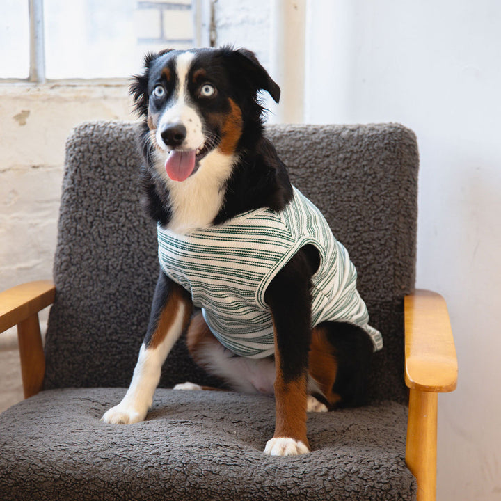 Candy Cane Sleeveless Sweater