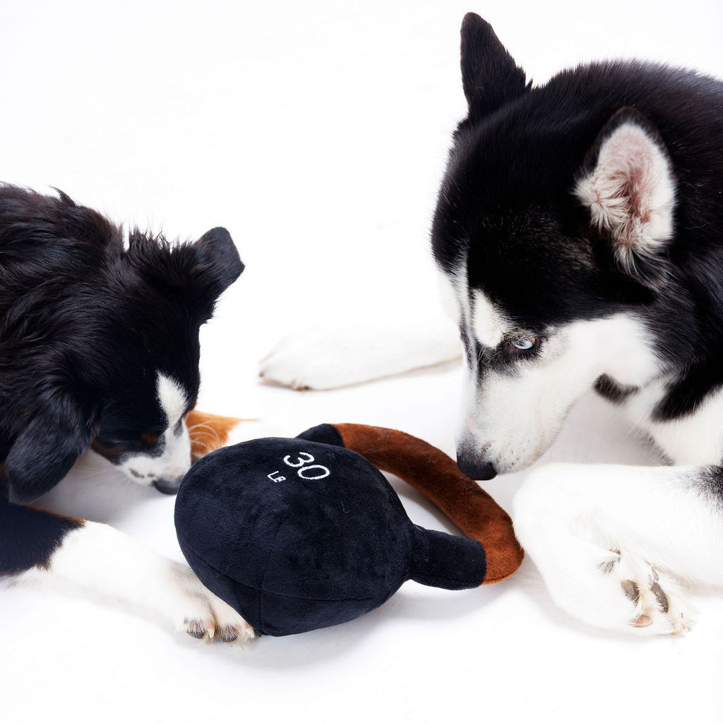 Happy dog with toy