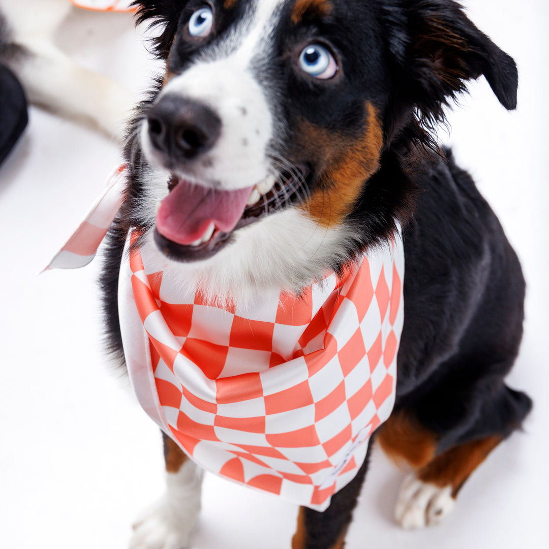 Peaches Dog Bandana