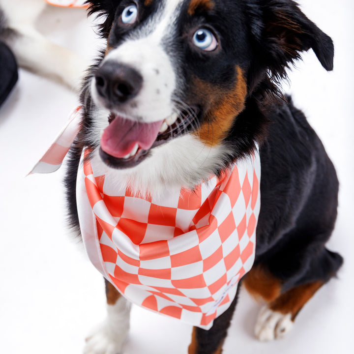 Peaches Dog Bandana