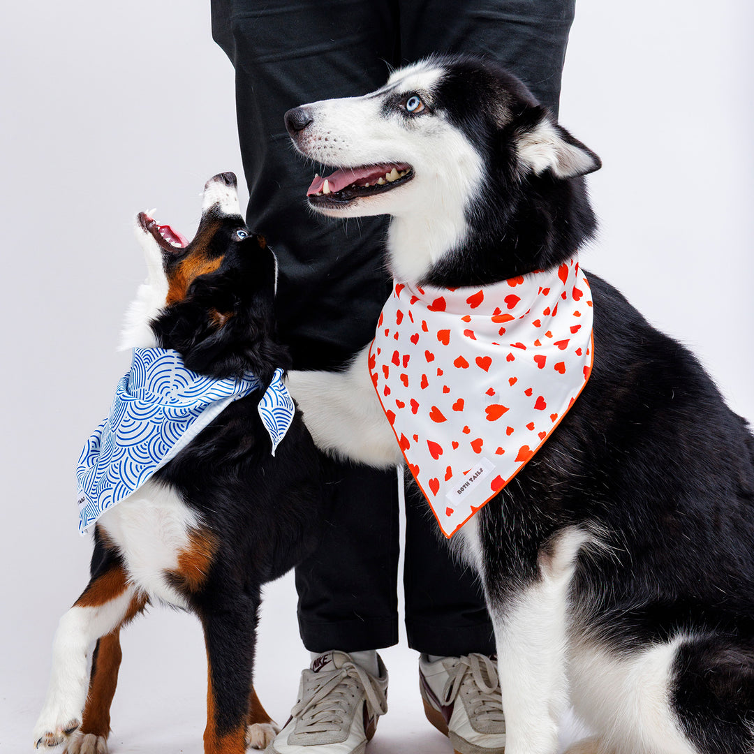 Cupid Dog Bandana