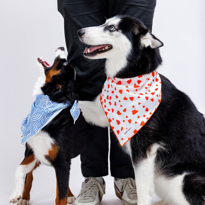 Cupid Dog Bandana