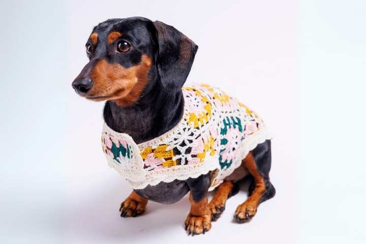 Bubblegum Crochet Dog Top