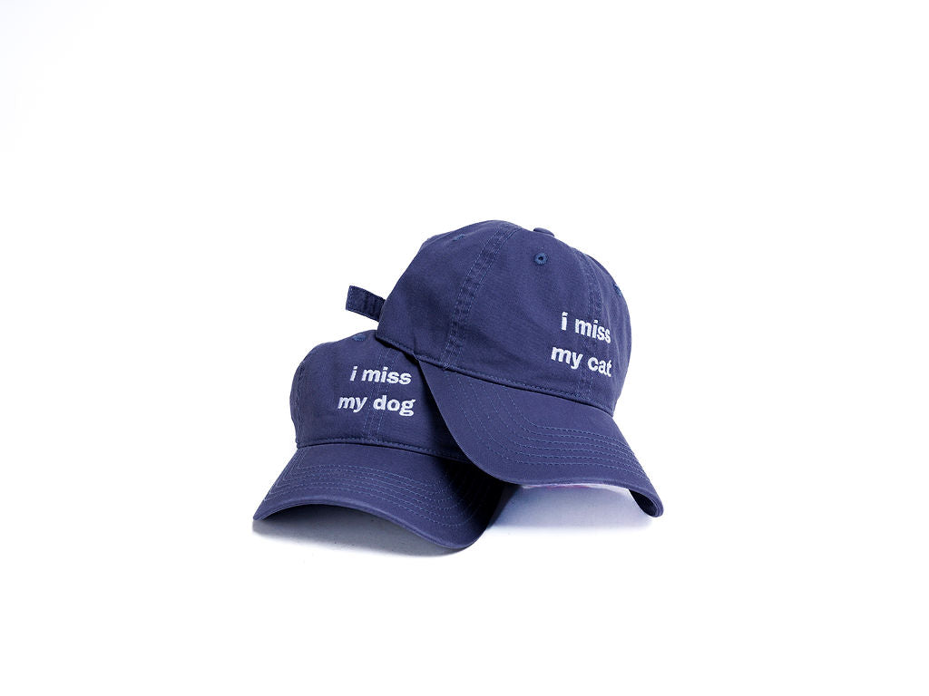 I Miss My Pet Hat