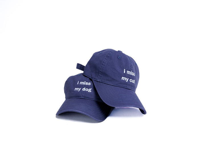 I Miss My Pet Hat