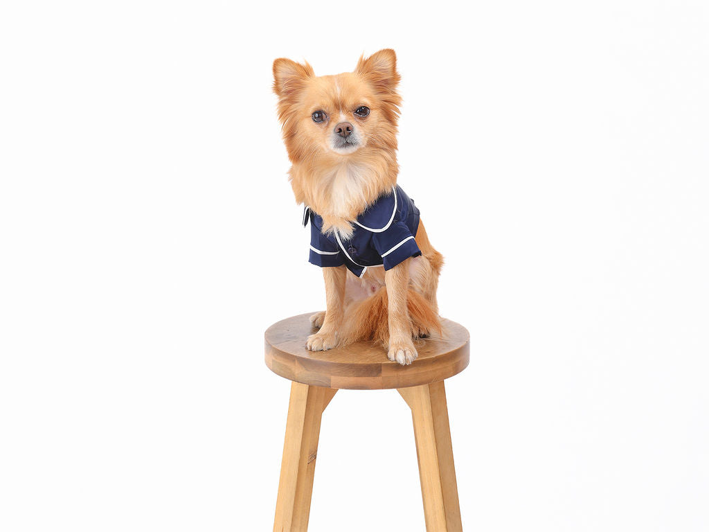 Blue Pet PJs