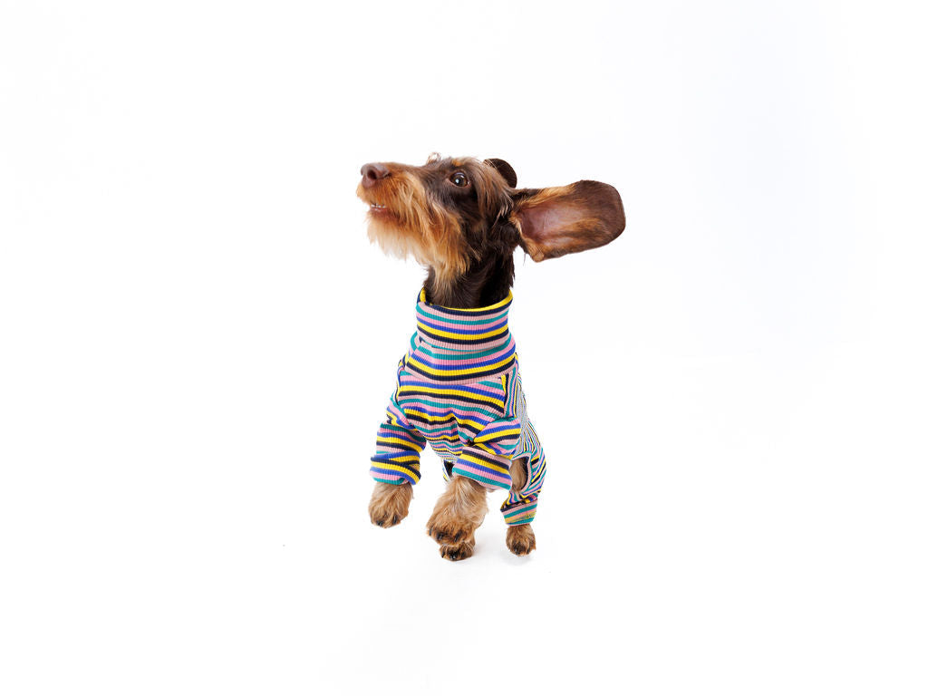 Sunset Stripe dog onesie sweater