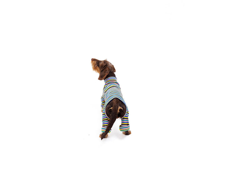 Sunset Onesie Sweater