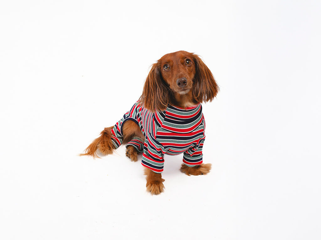 Onesie Bundle: Midnight Stripe Dog Onesie from Both Tails