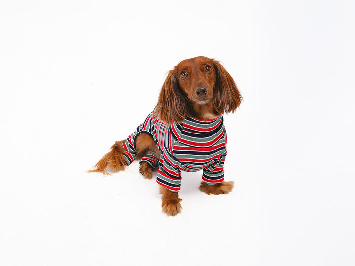 Onesie Bundle: Midnight Stripe Dog Onesie from Both Tails