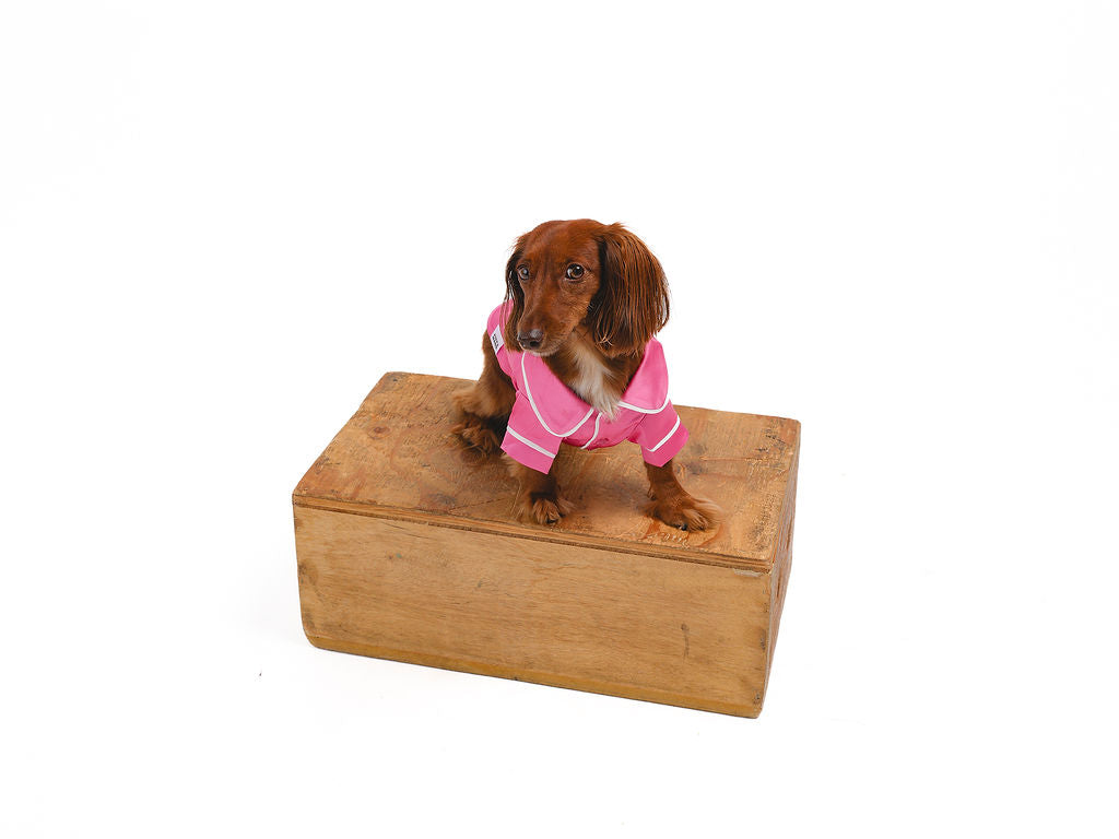 Pink Pet PJs