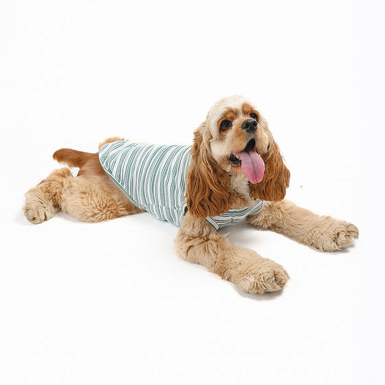 Candy Cane sleeveless dog sweater in green