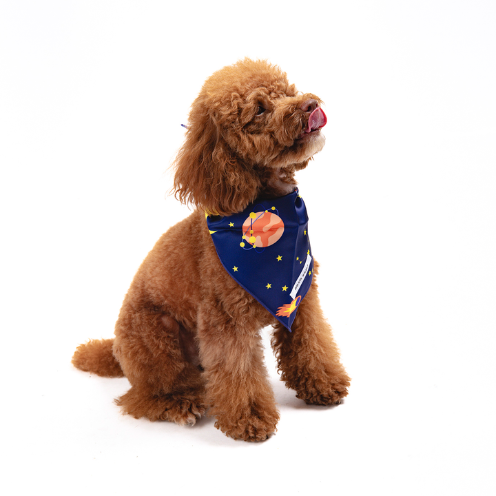 Astro Print Dog Bandana, Cute Pet Accessory