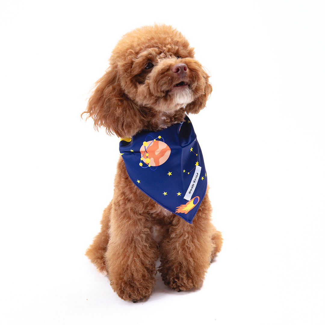 Astro Print Dog Bandana, Cute Pet Accessory