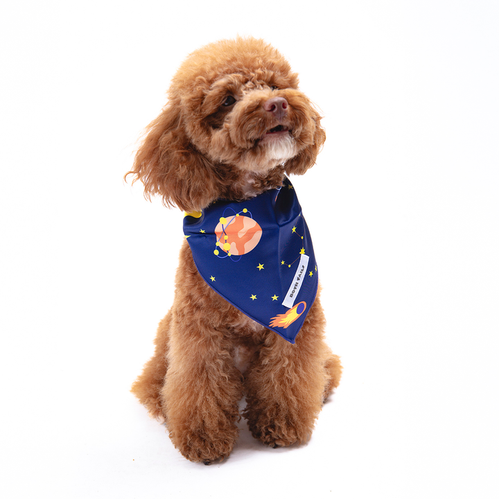 Astro Print Dog Bandana, Cute Pet Accessory