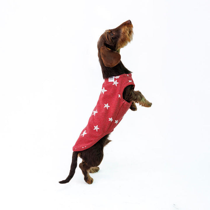 Starry Night sleeveless dog sweater in red