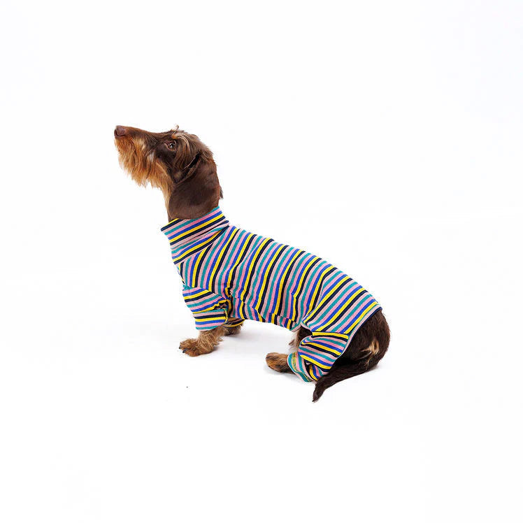 Sunset Stripe onesie on a small dog