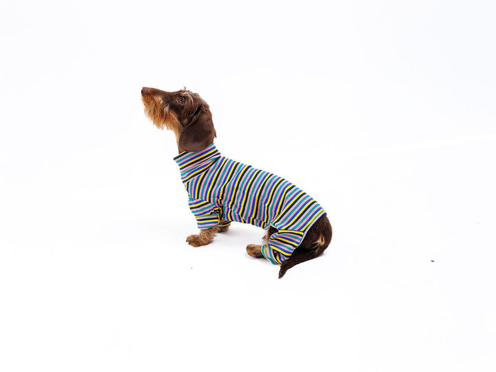 Sunset Onesie Sweater